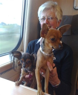 Bella, Cora-Li och mormor på tåget i Köpenhamn 090920